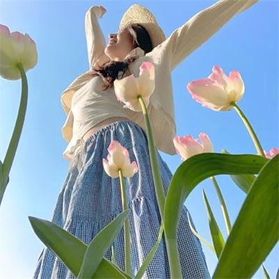 层层追凶